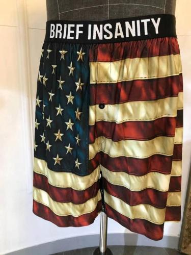 Men's Leisure US Flag Printed under shorts