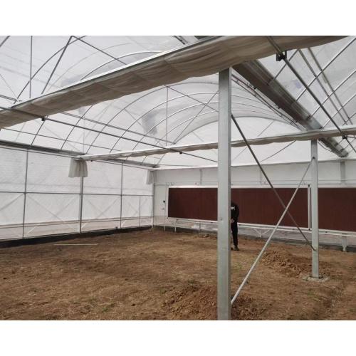 Arch Style Film Covered Greenhouse