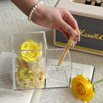 Real Everlasting Preserved Rose in Acrylic Gift Box for Christmas and Valentine's Day