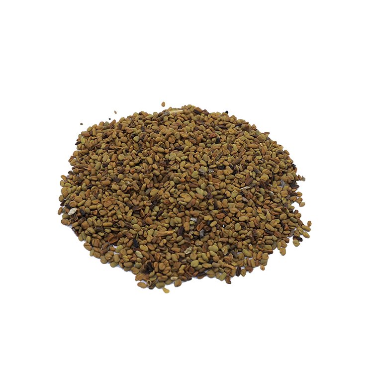 Fenugreek Seed