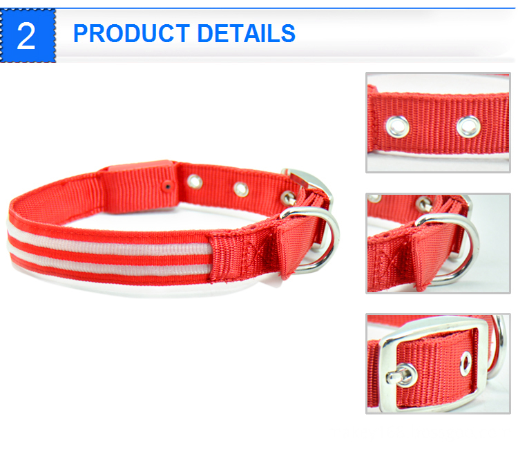 Light Up Led Dog Collar