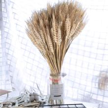 100Pcs/lot Wheat Ear Flower Natural Dried Flowers for Wedding Party Decoration DIY Craft Scrapbook Home Decor Wheat Bouquet Gift