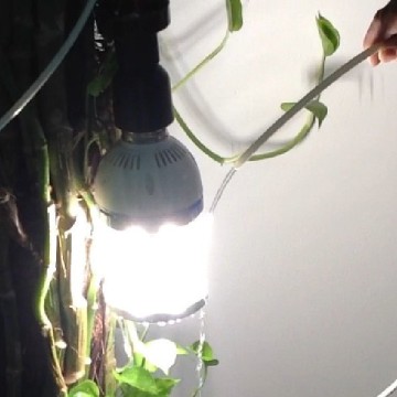 IP65 waterproof outdoor lighting 360 degree led corn bulb