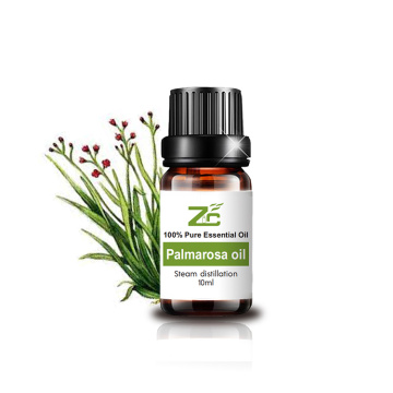 Aceite de fragancia de grado terapéutico de aceite palmarosa de 10 ml