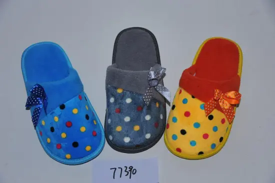 Dream of ladies slippers