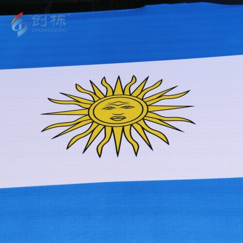 Custom national flag design car hood cover