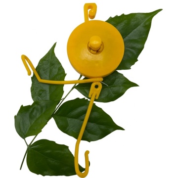 Hydroponics Plant Support Systems: Enhancing Growth in Farming