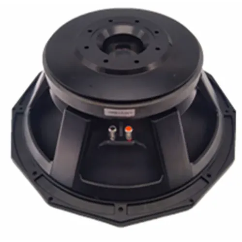 18-inch high-power woofer suitable for outdoor entertainment