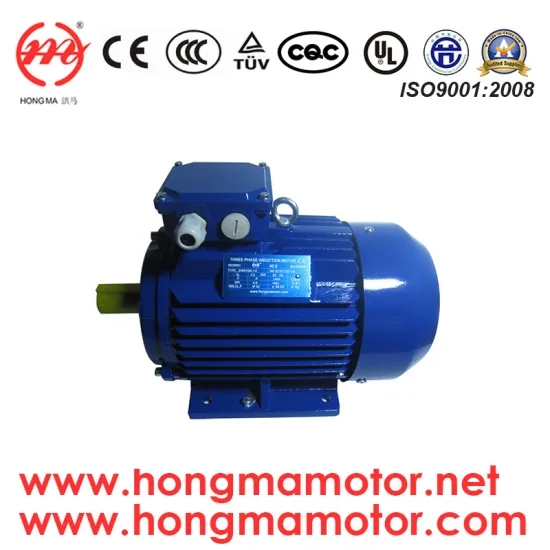 1HMI-Ie1 (EFF2) Series Cast Iron Housing Three Phase Electric Motor