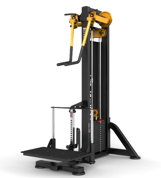 Pectoral Commercial Gym Equipment Standing Lateral Raise