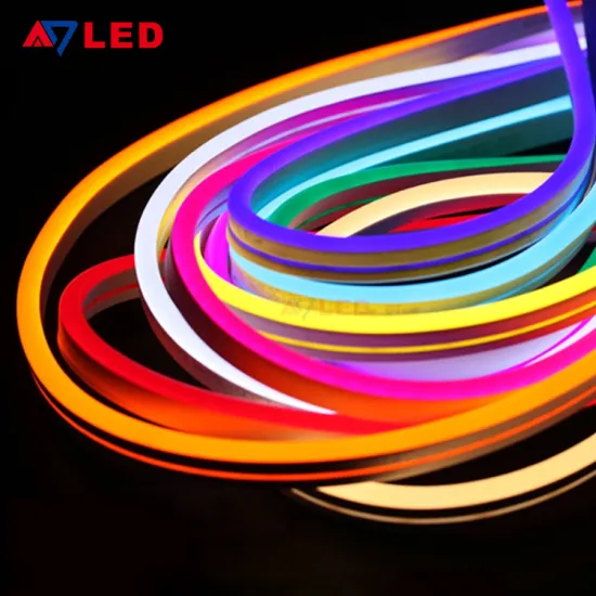 Luz Neon Customize SMD 2835 DC12V Flexible Neon Strip Light for Wall Decoration