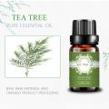 New Stock Fresh Australian Tea Tree Essential Oil