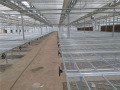 Hydroponics Greenhouse Greenhouse Ebb and Flow