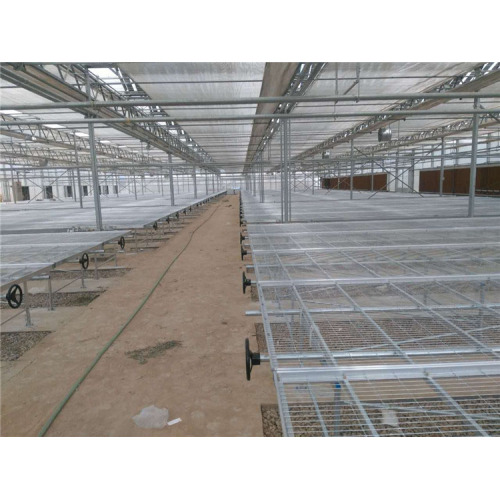 Hydroponics Greenhouse Ebb and Flow