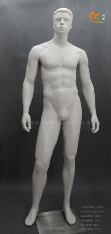 Strong mannequin sexy mannequin male mannequin/dummy. male mannequin. wholesaler.