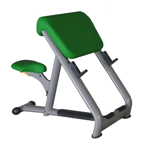 Scott Bench Fitness Gym Equipment Strength Training