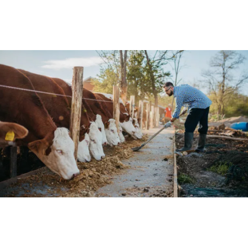 MCP di alta qualità 22% per pollame e bestiame