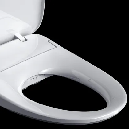 Smart Toilet Seat Cover 2020: Waterproof Bidet, Automatic Toilet 110V
