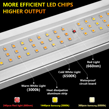 LED de LED de espectro completo Hidroponia 640W