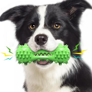 dog toothbrush with sound