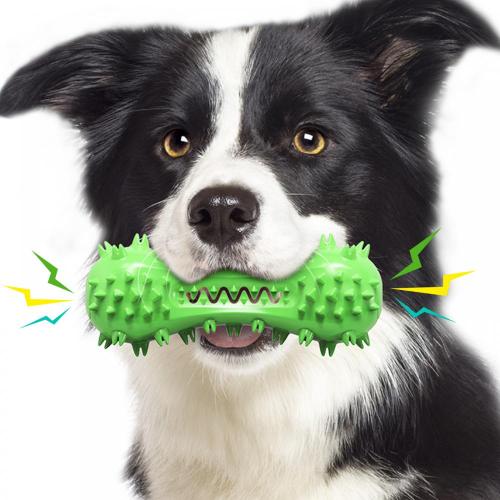 brosse à dents de chien avec son