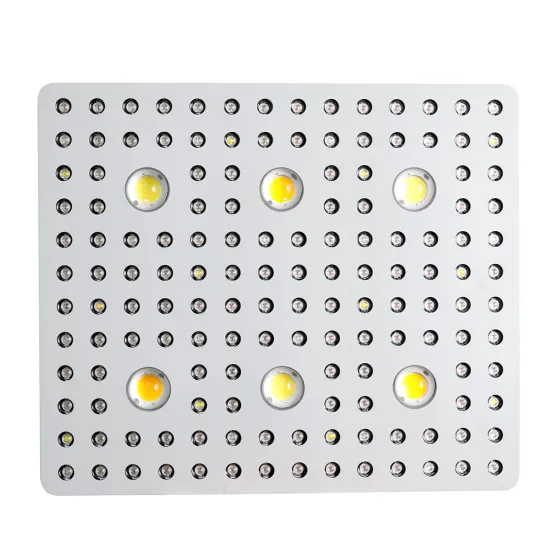 2000/2500/3000 watt Led Grow Light COB Customized 2022