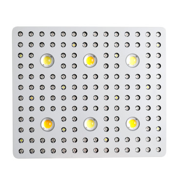 2000/2500/3000 Watt LED Tumbuh COB COB Disesuaikan 2022