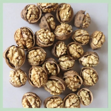 Walnut/ Dry Walnut / Kernel / Snack Food