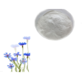 supply Freeze dried Aloe vera extract powder