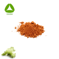 Bio -Lebensmittelqualität Ulva Lactuca -Seetang -Extraktpulver