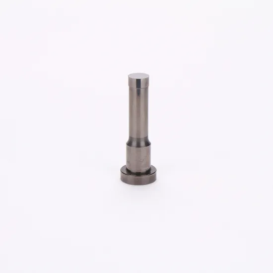 China mold spare parts factory high-precision processing non standard circular parts