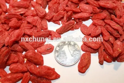 Golden SUPPLIER OF GOJIBERRY SEED/CHINESE WOLFBERRY