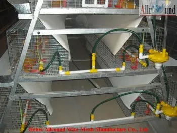 layer nipple drinker  