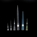 /msite/products/detail/productid/59630016/id/540912.html