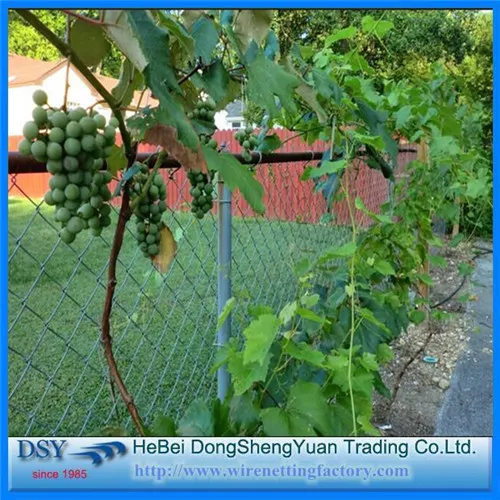 High Quality Galvanized Chain Link Mesh