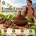 Extracto de Evodia con 2%–98% de evodiamina y rutaecarpina