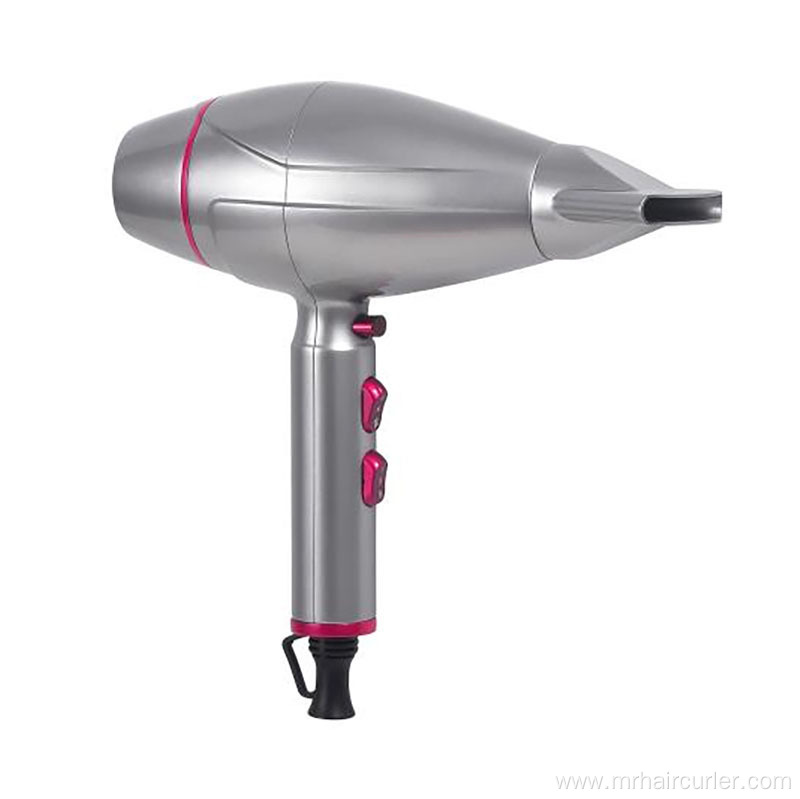 Ionic Long Life AC Motor Hair Dryer