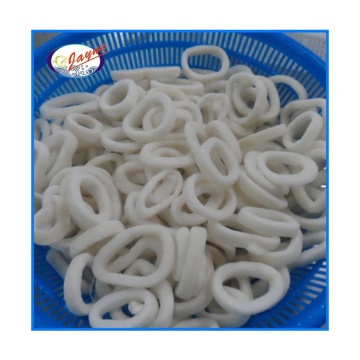 High quality frozen squid ring (todarodes pacificus)