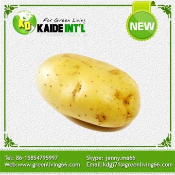2016 nuovo raccolto fresco 10kg di patate