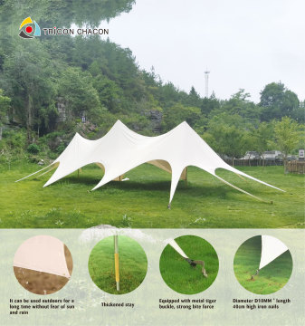 LOGO Printing Outdoor Tents for Events and Camping with Carry Bag