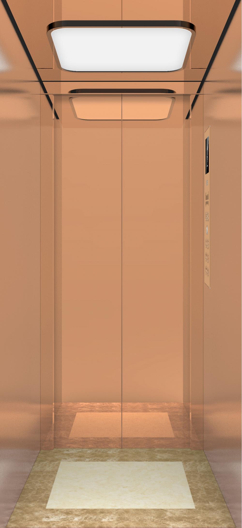 Residential Elevator Home Lift with Luxury Design