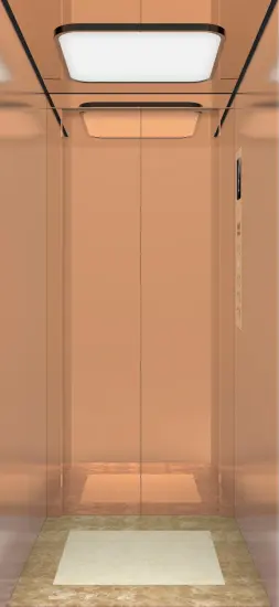 IFE VILLUX Splendid High-end Home elevator