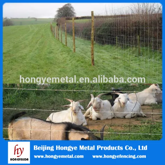 grassland for breeding low carbon field fence wire mesh