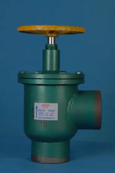 PN10-PN25 Casting Cast Iron Angle Type Globe Valve