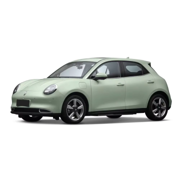 CYT Electric 2025 Ev Ora Ballet Cat Lithium Iron Phosphate Battery Left-Hand Drive