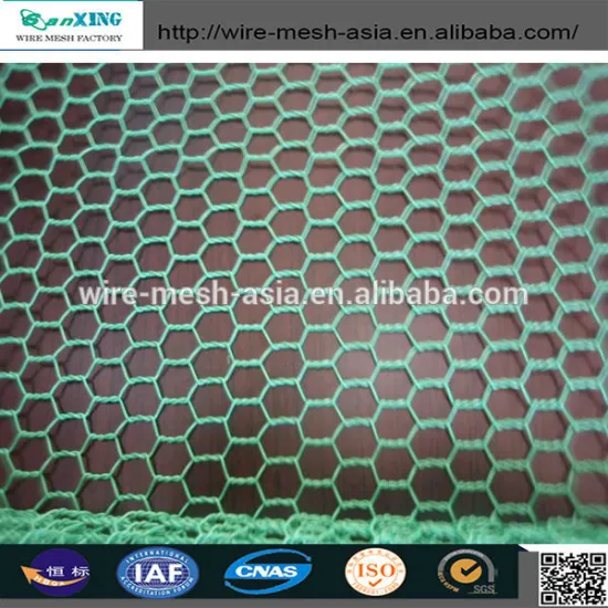 High Quality Galvanized & Green Color PVC Coated Hexagonal Chicken Coop Poultry Wire Netting