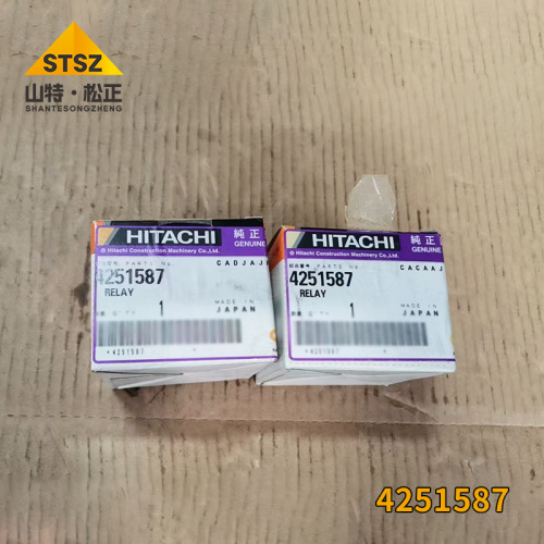 Excavator Parts 4251587 RELAY EX200-5