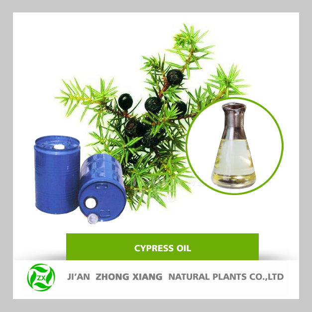 Bulk natural cypress essential oil price