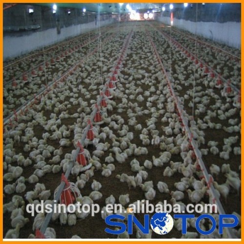 Modern shed automatic poultry equipment for breeder/broiler/turkey/chicken farm
