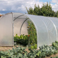 Rumah PE Span Single Span Greenhouse